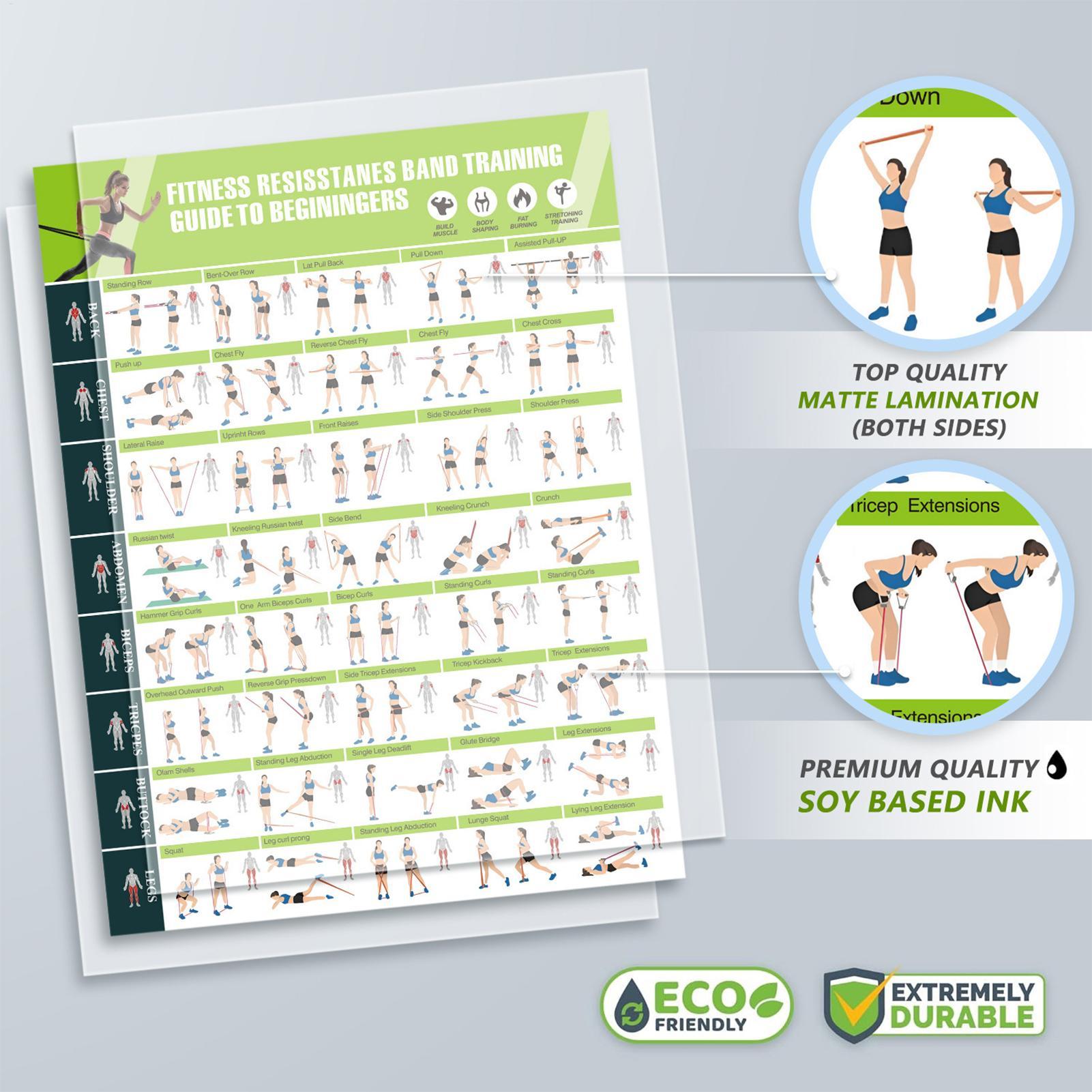 Fitness Chart  Yoga Pose Chart - Yoga Fitness Wallpaper 评论和价格